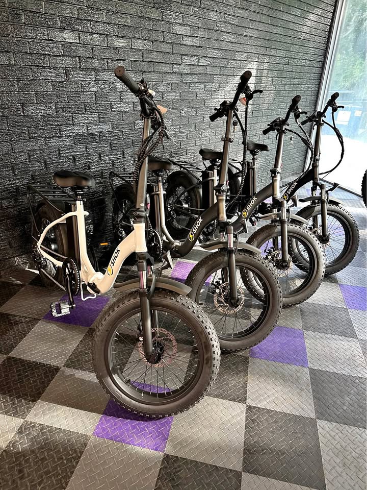 2025 SHOK Pulsar 48V E-Bike - 500W 10.4Ah Big Tire