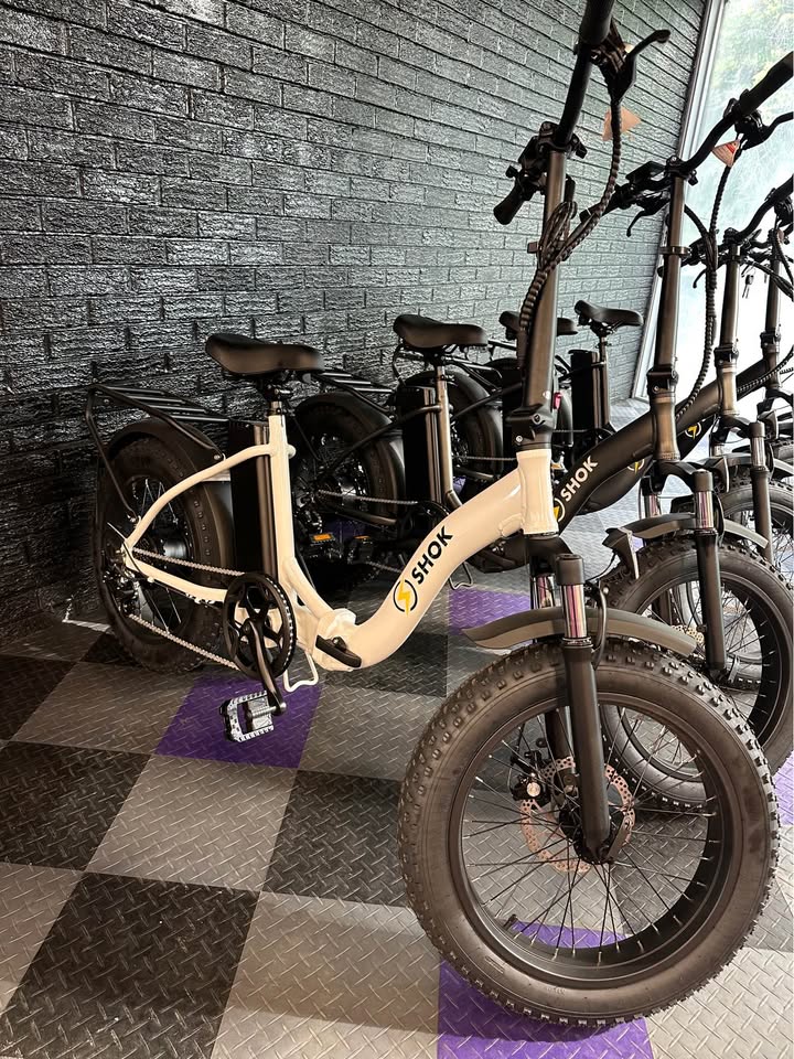 2025 SHOK Pulsar 48V E-Bike - 500W 10.4Ah Big Tire