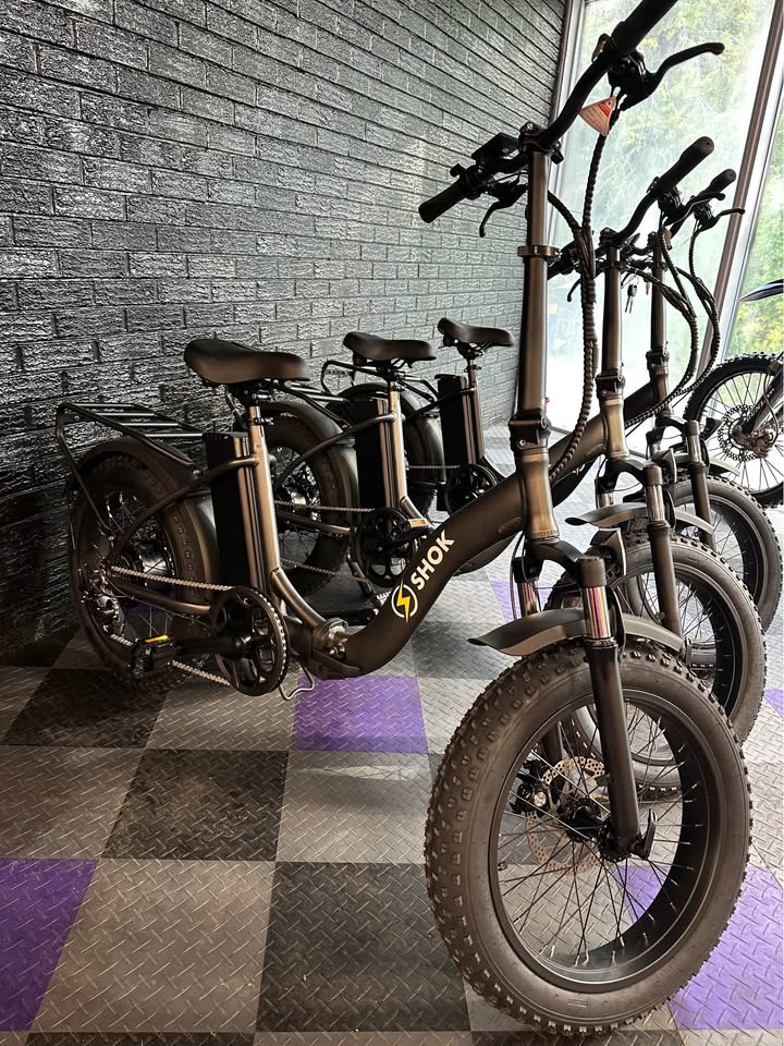 2025 SHOK Pulsar 48V E-Bike - 500W 10.4Ah Big Tire