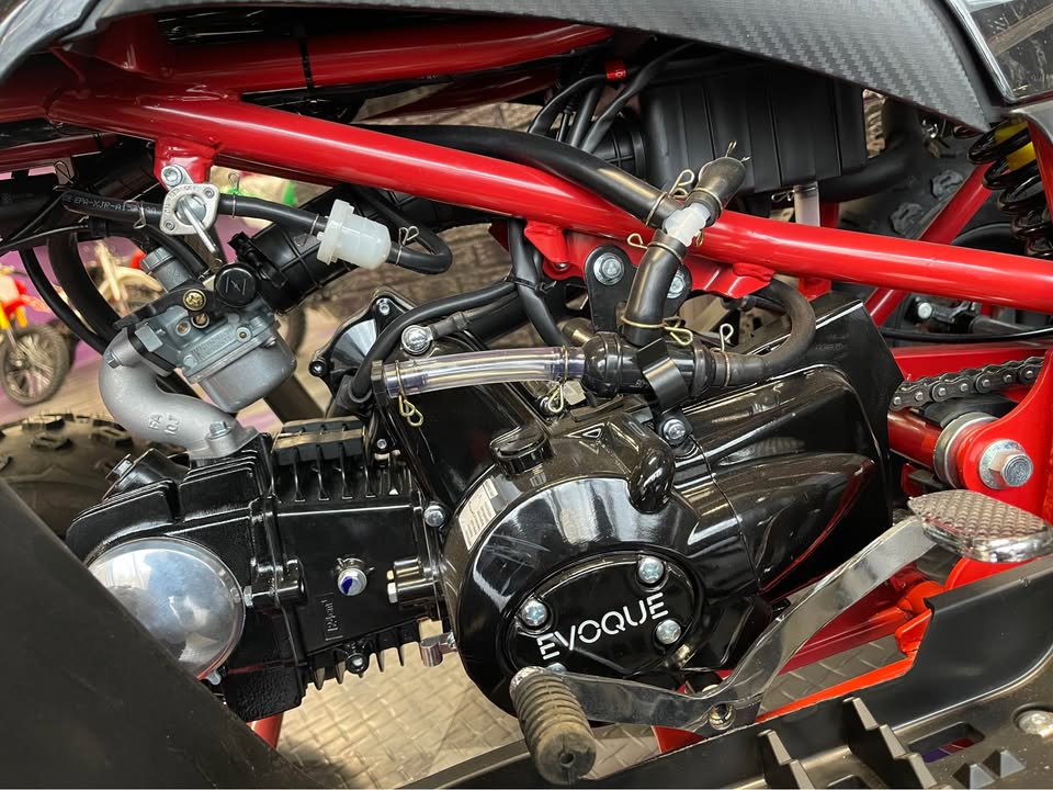2026 Evoque VQS-125XR Kids ATV - Automatic with Reverse - Brand New