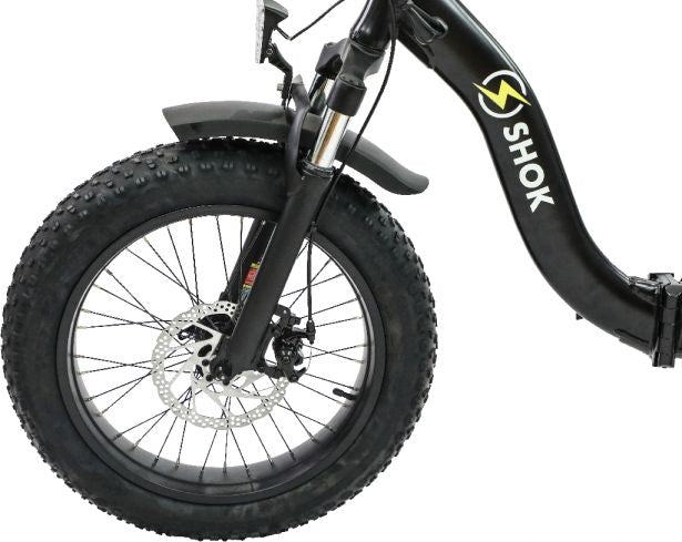 SHOK Pulsar